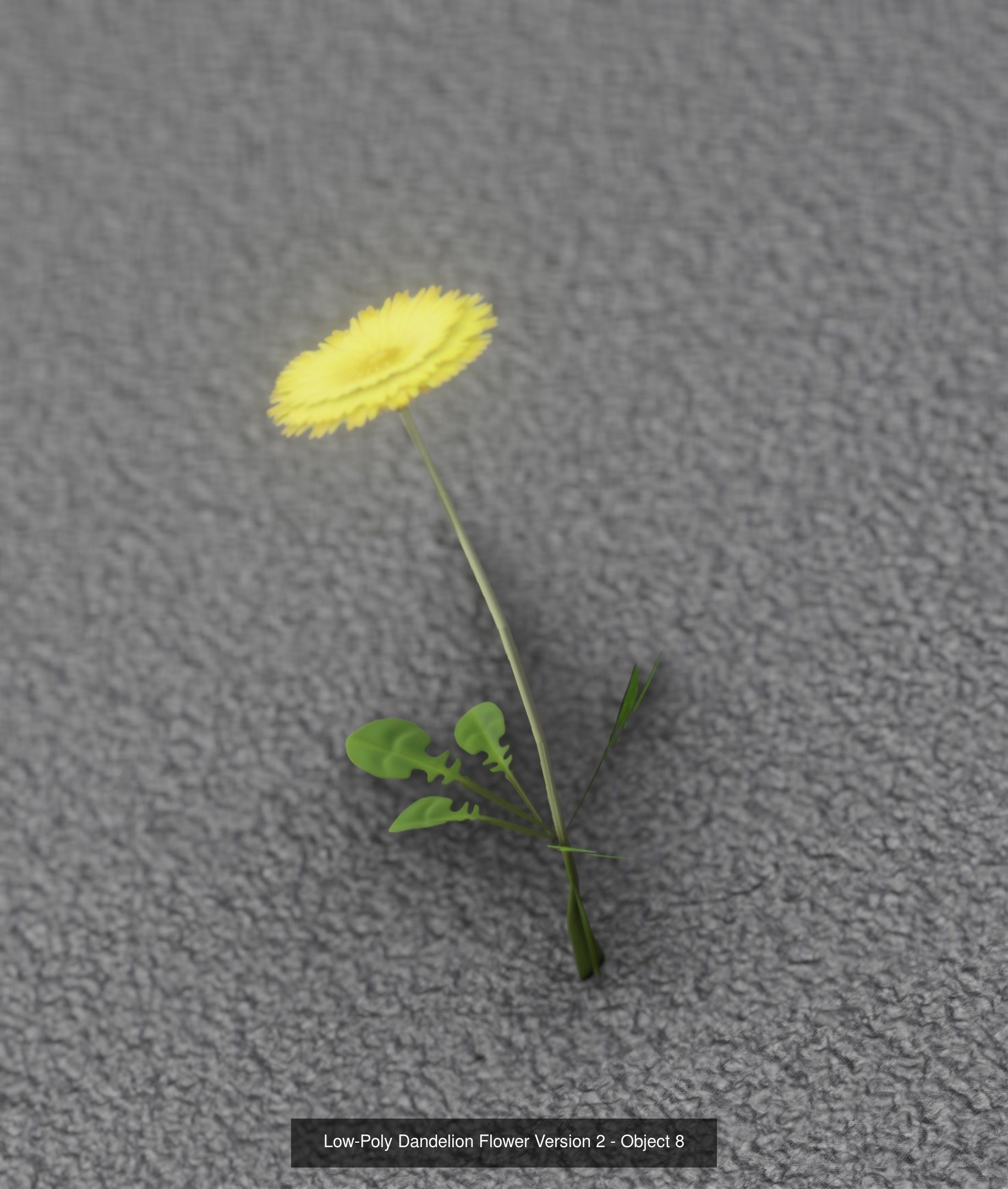 City Plants Collection 1 _16