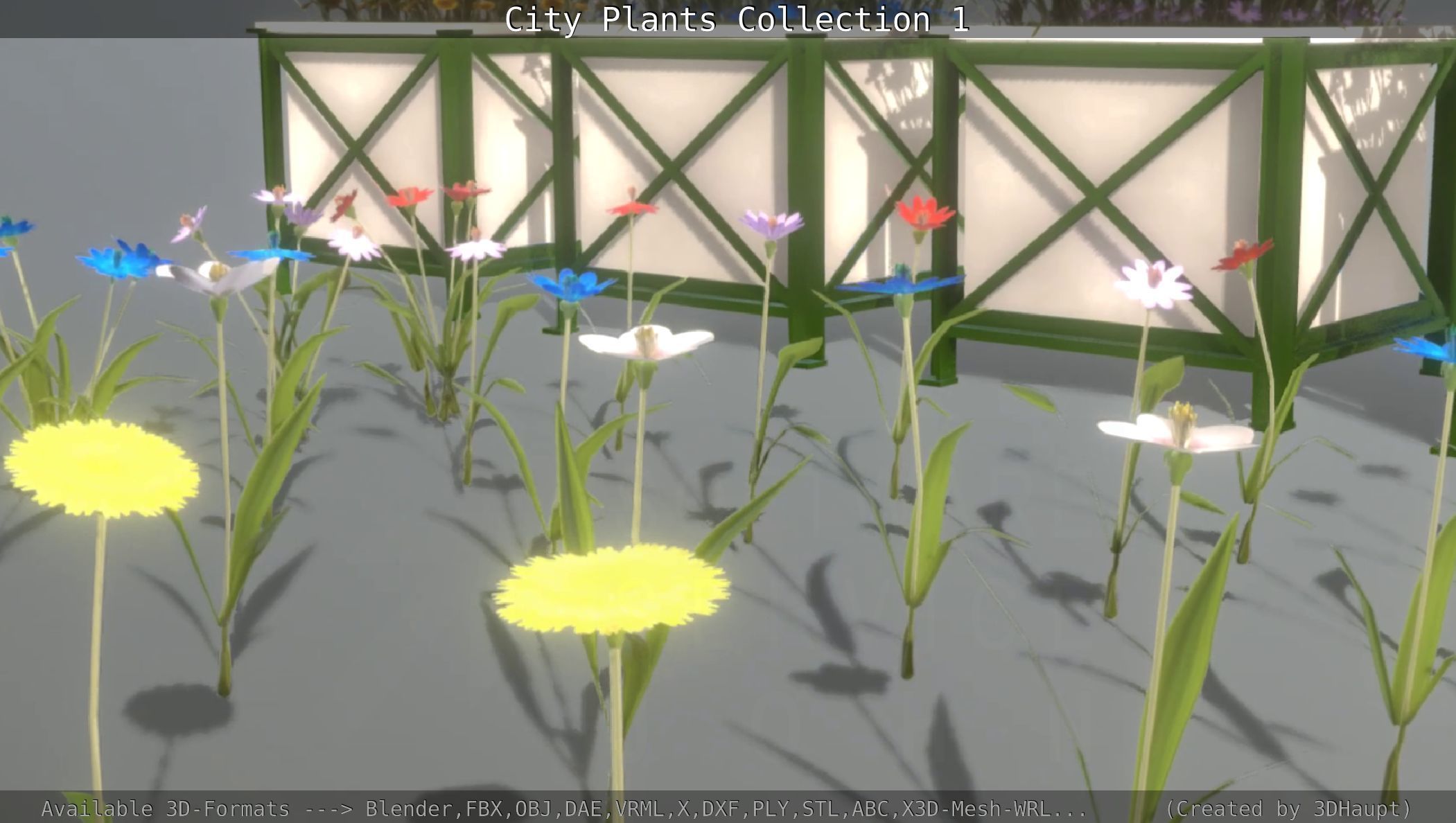 City Plants Collection 1 _57