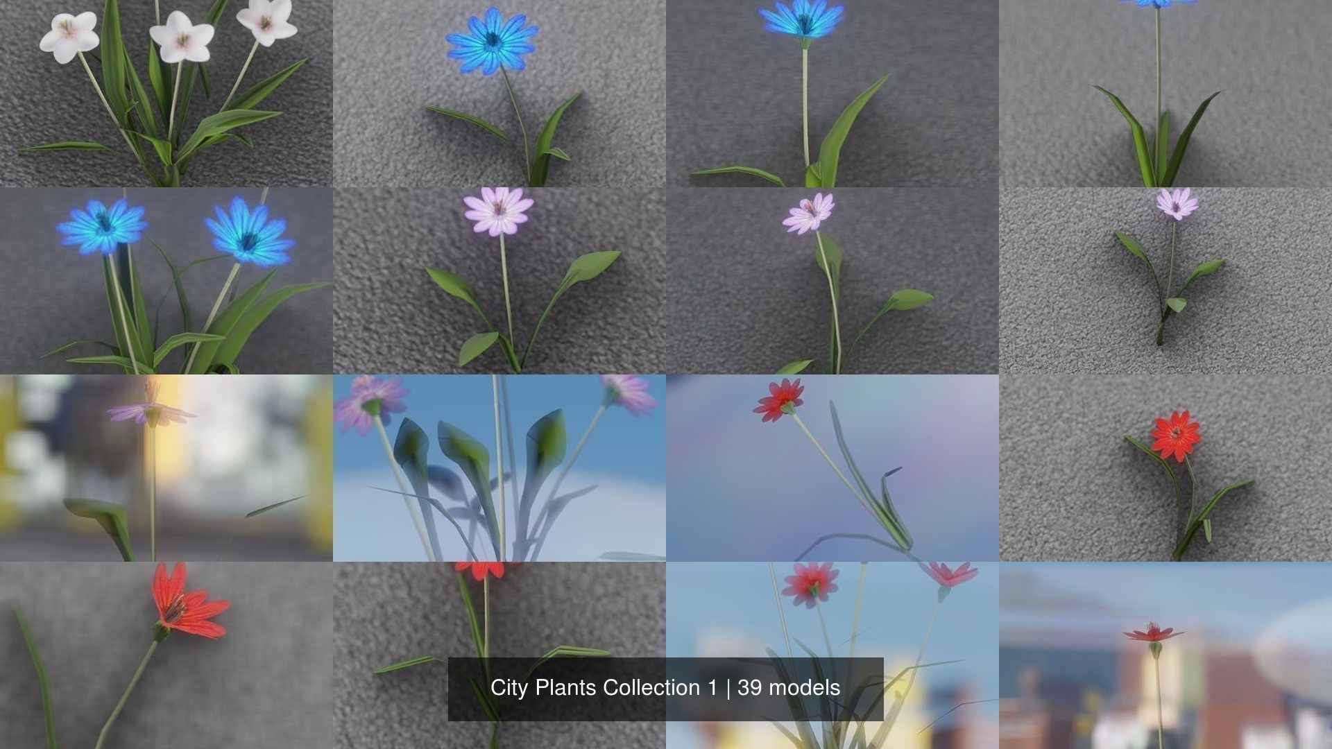City Plants Collection 1 _7