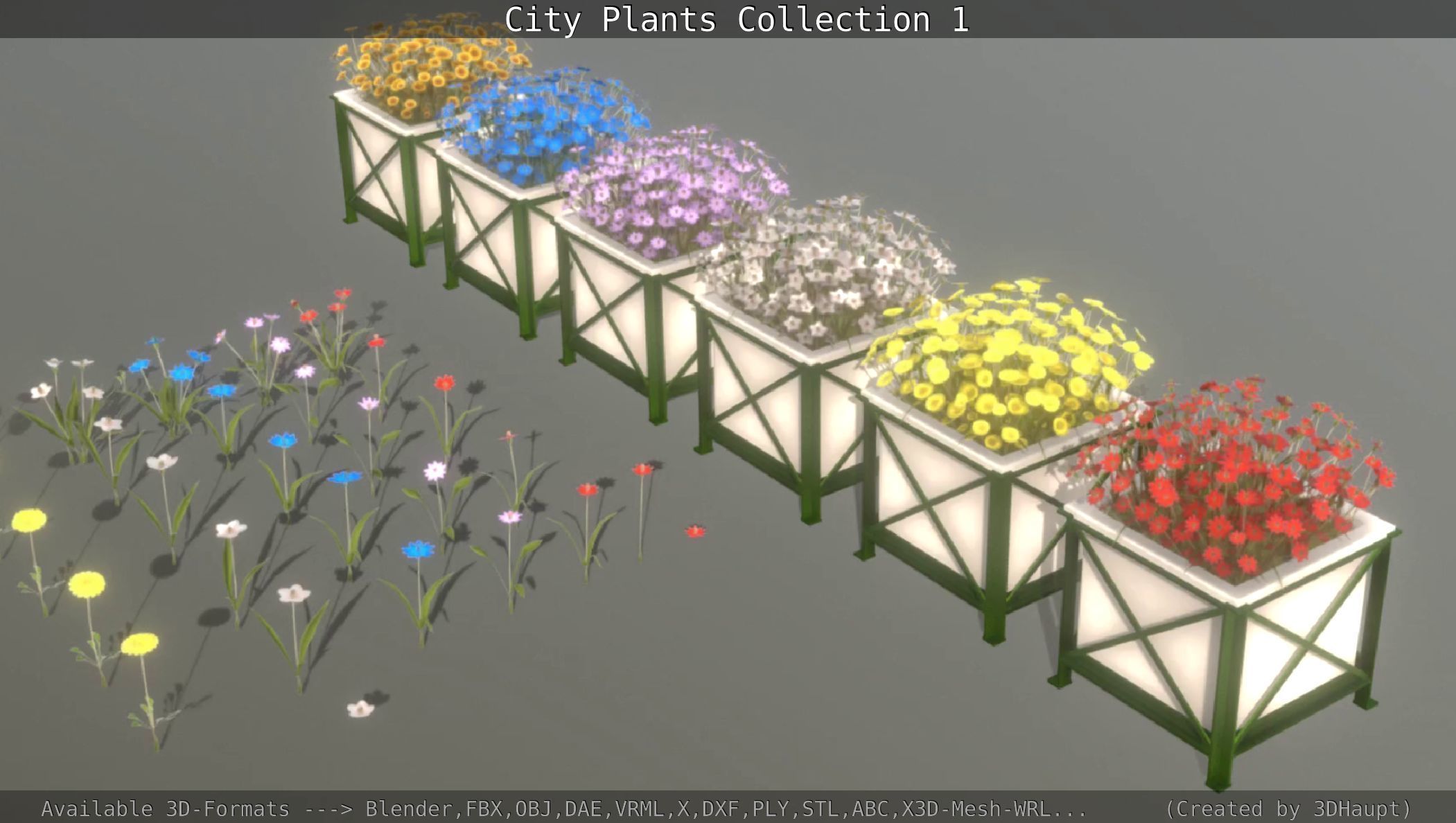 City Plants Collection 1 _50