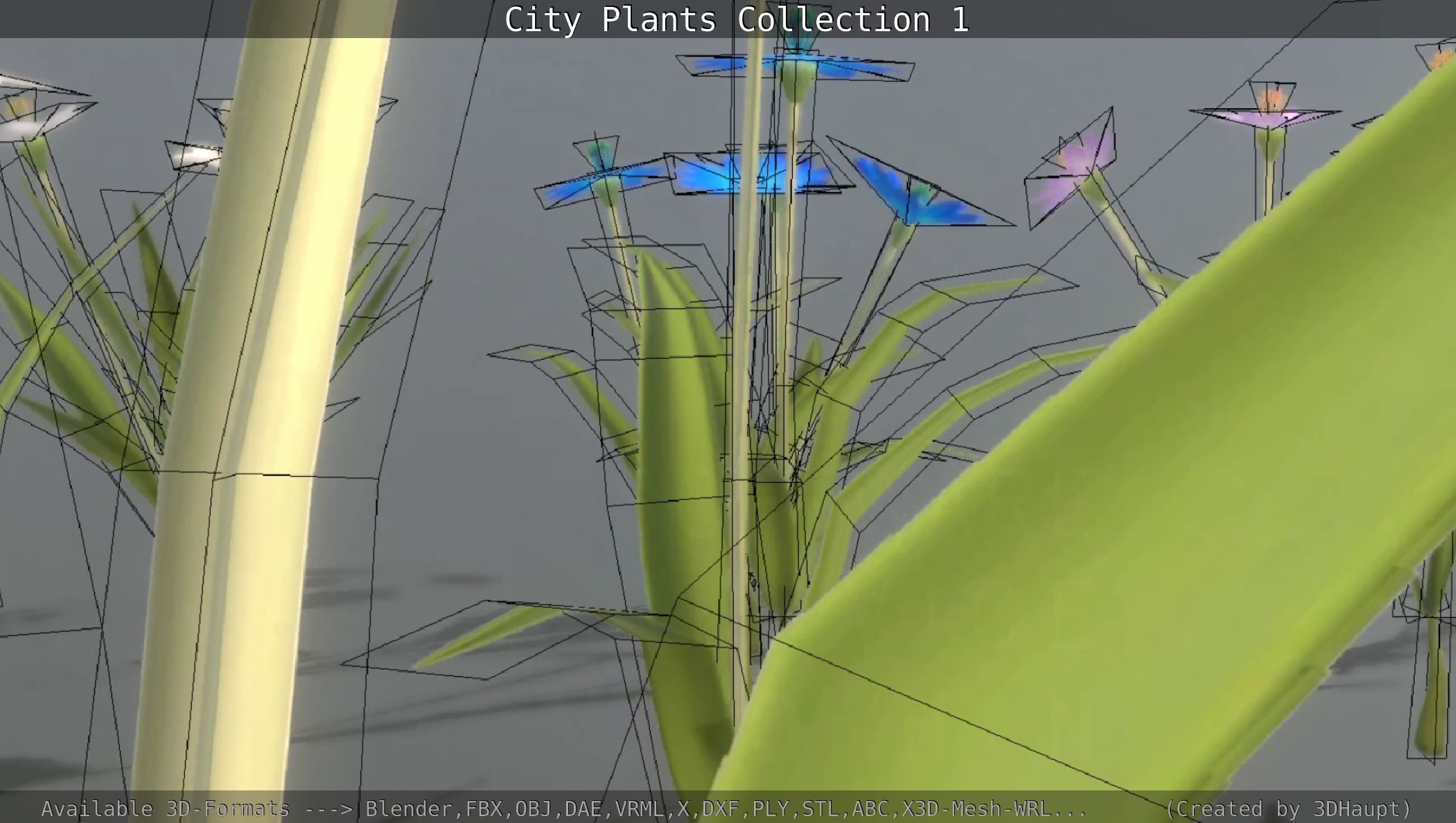 City Plants Collection 1 _71