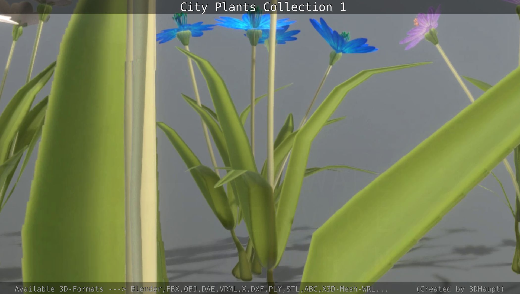 City Plants Collection 1 _95