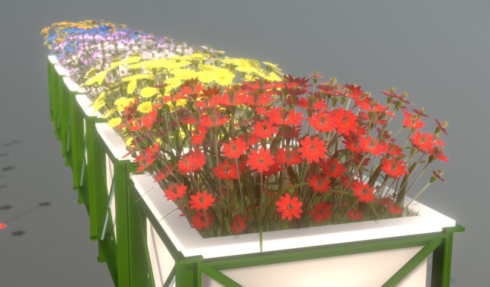 City Plants Collection 1 _4