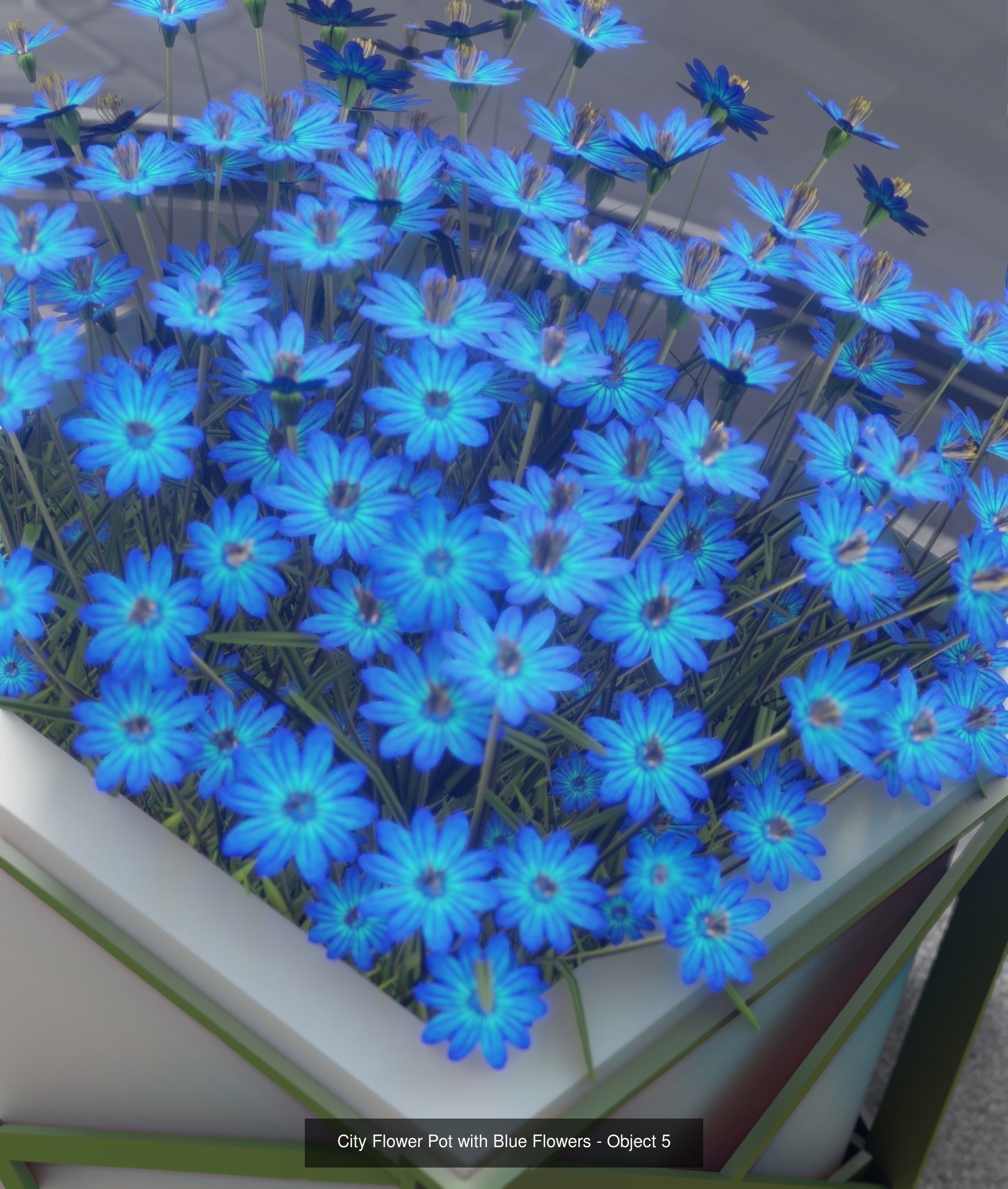 City Plants Collection 1 _13