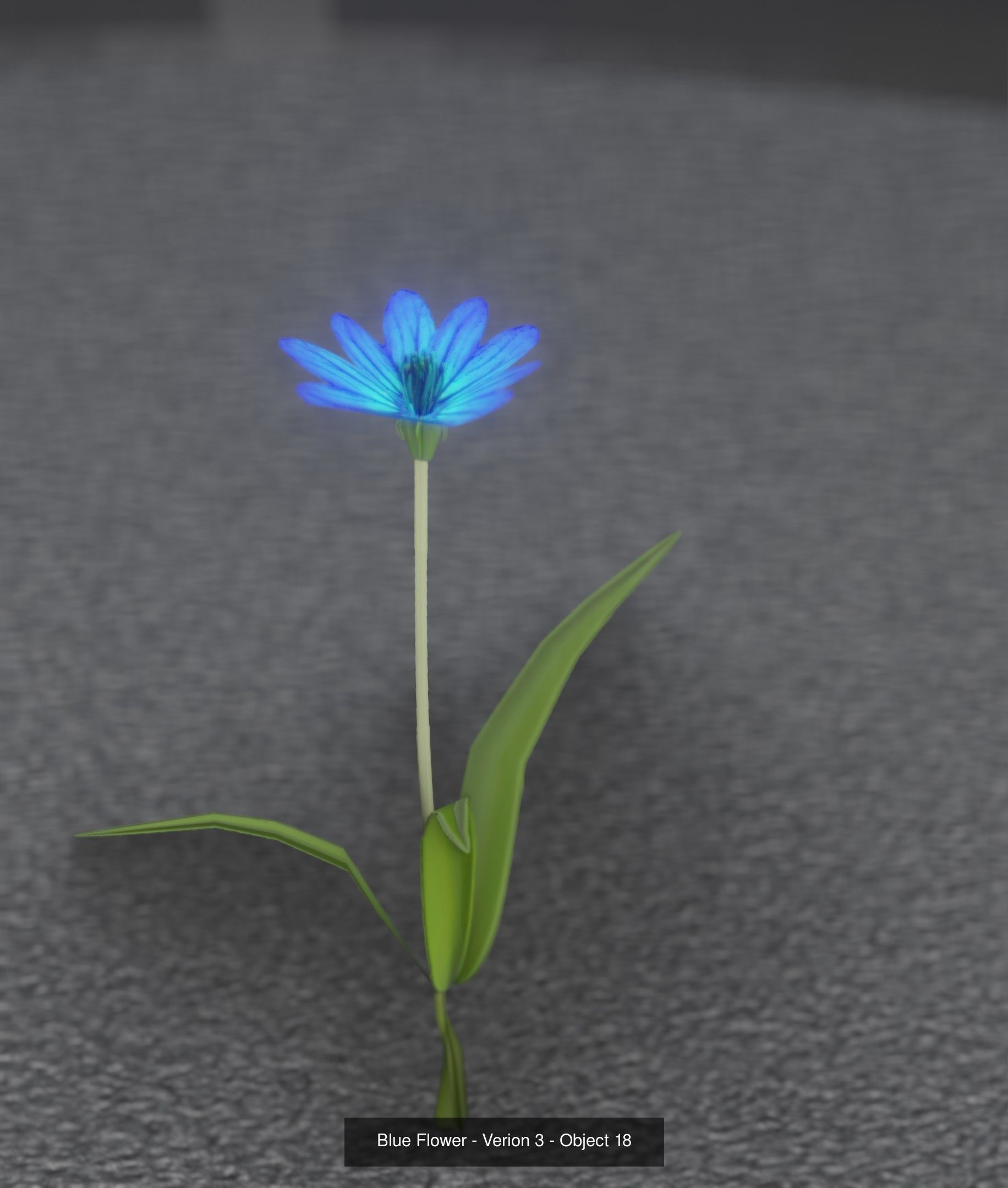 City Plants Collection 1 _27