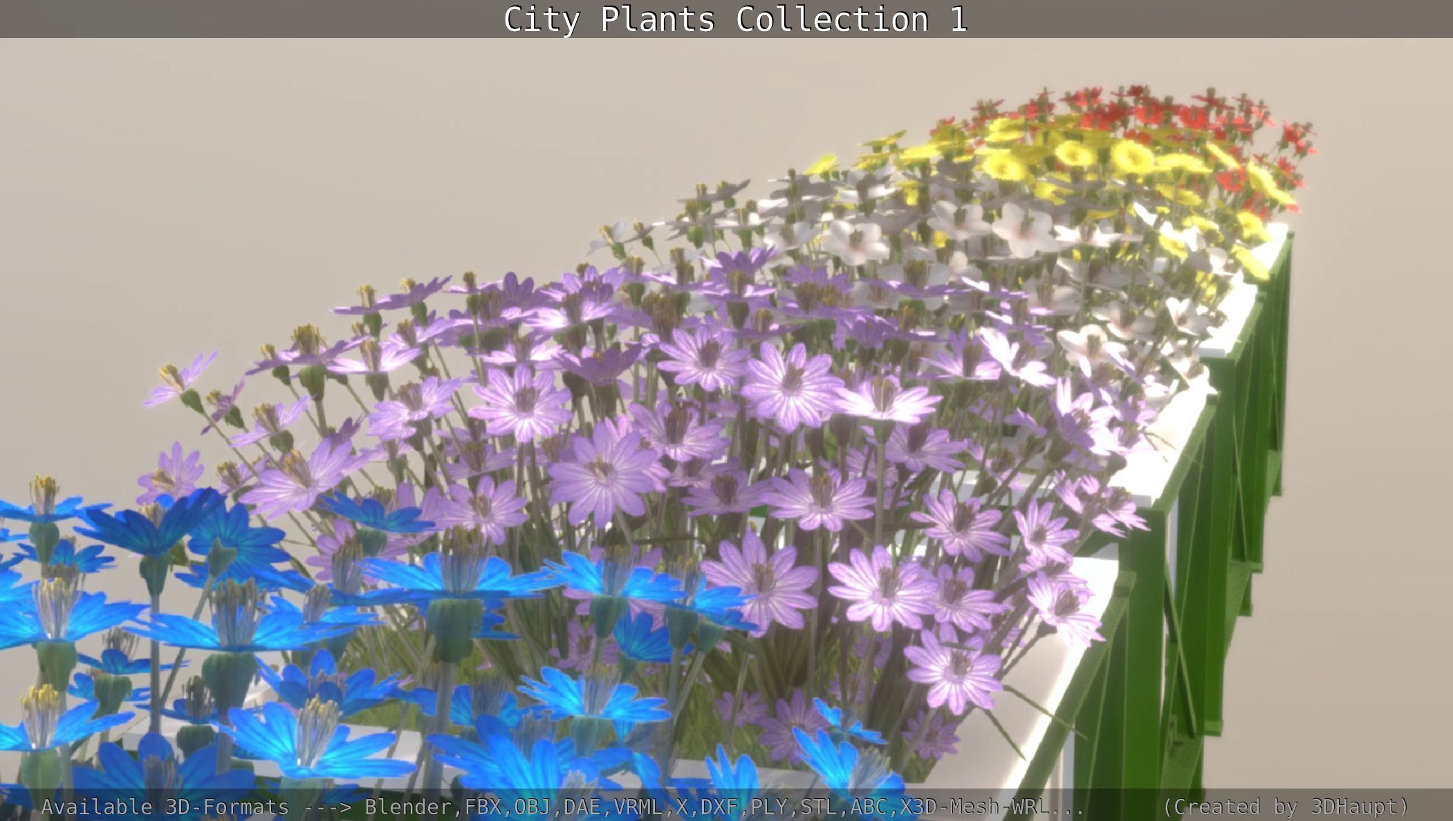 City Plants Collection 1 _102