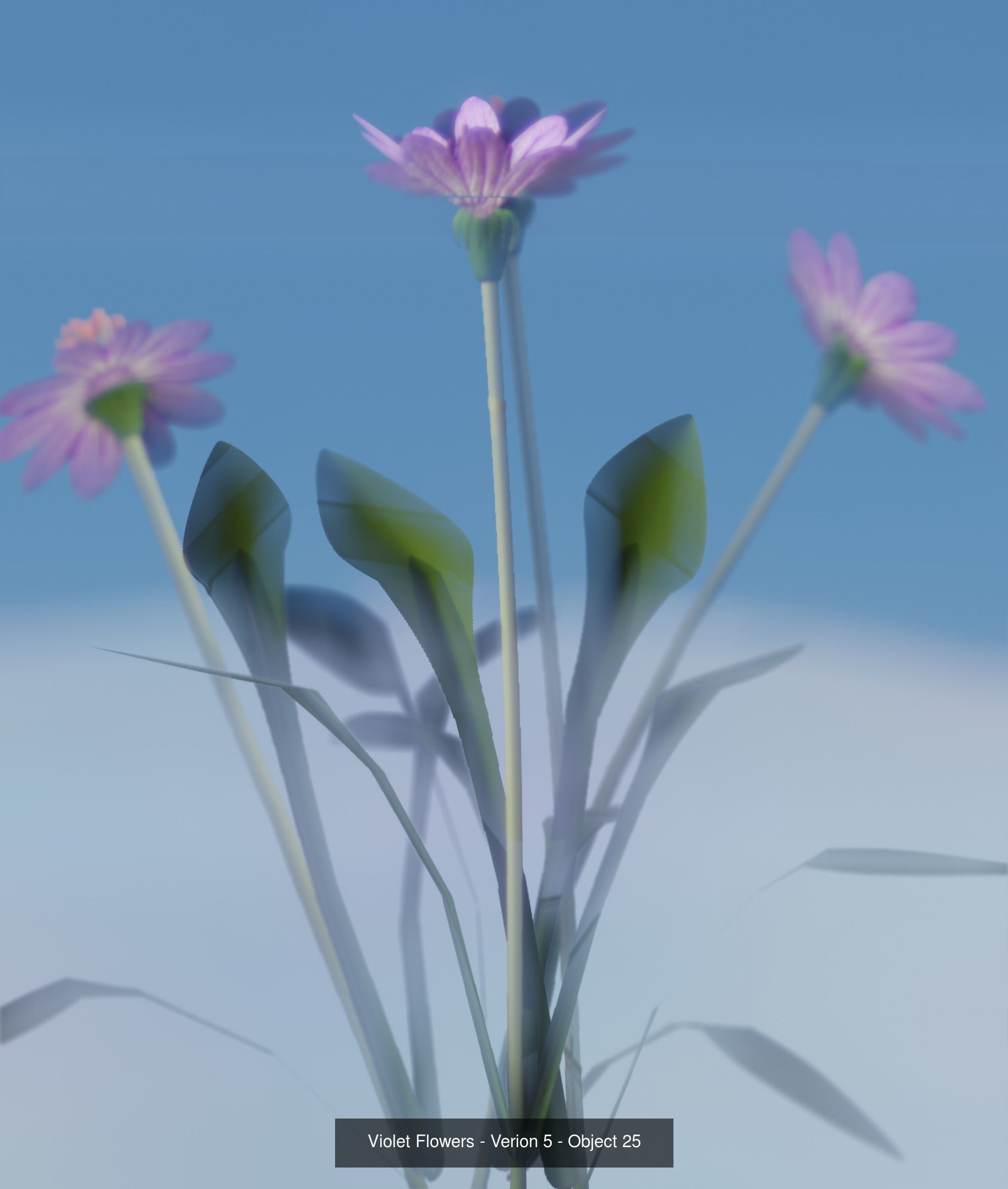 City Plants Collection 1 _34