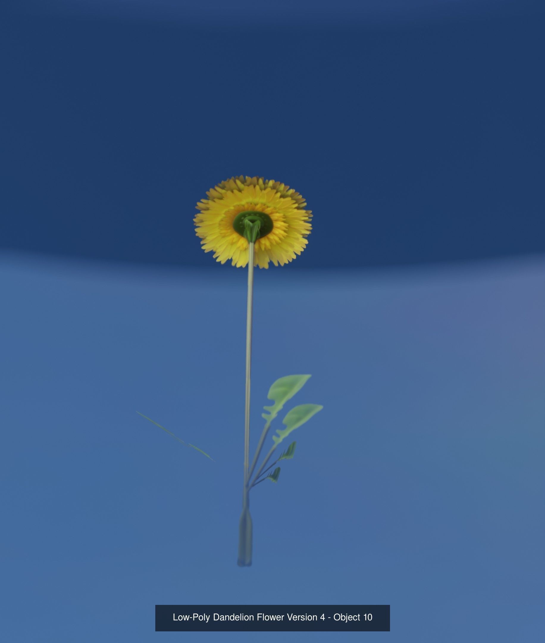 City Plants Collection 1 _18