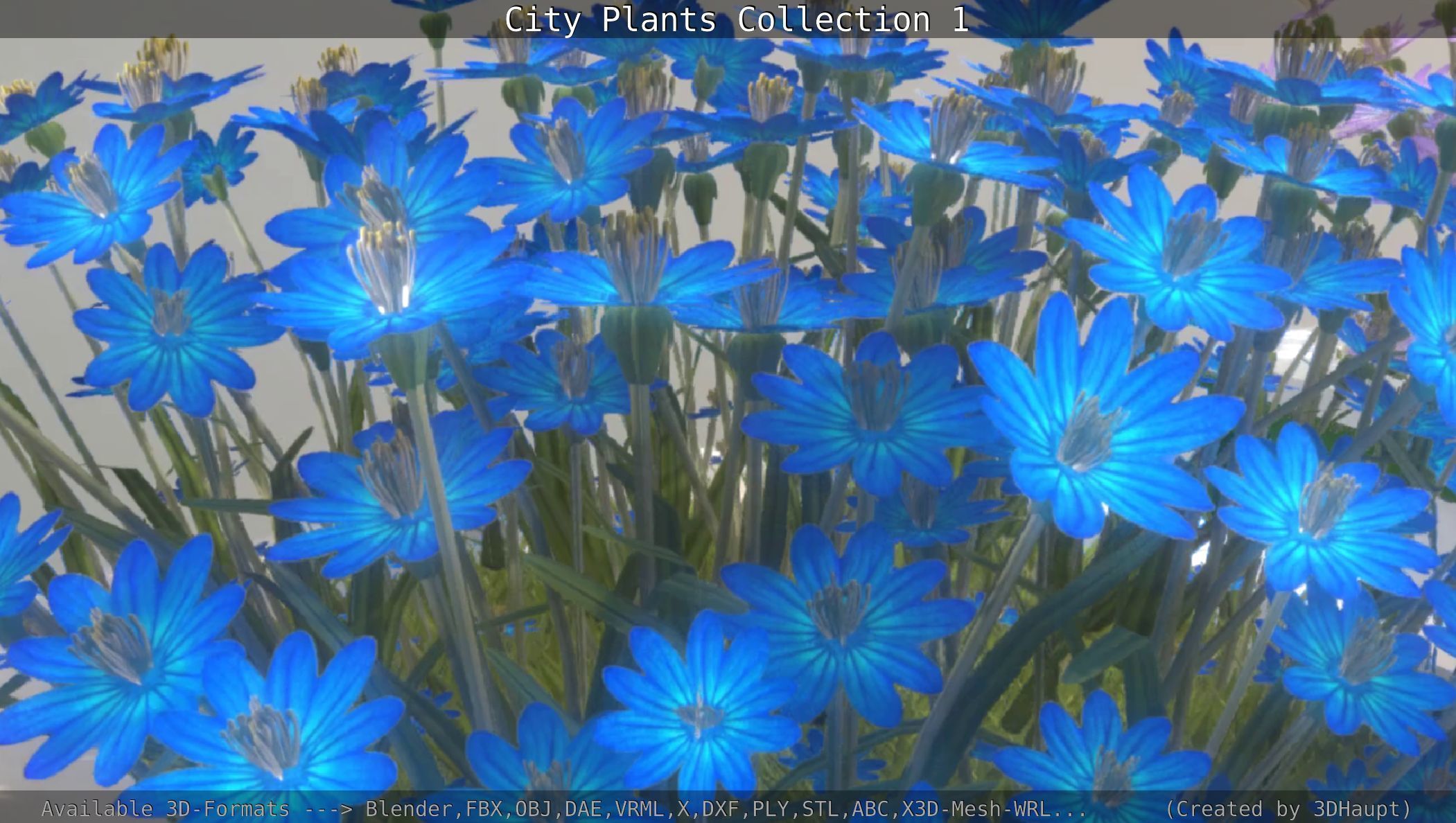 City Plants Collection 1 _48