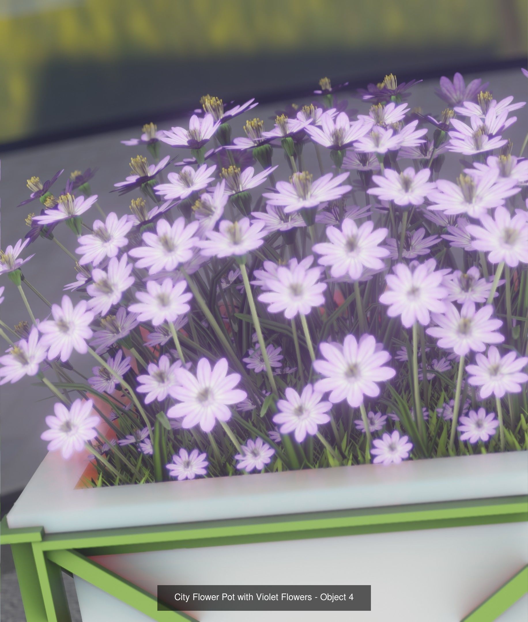 City Plants Collection 1 _12