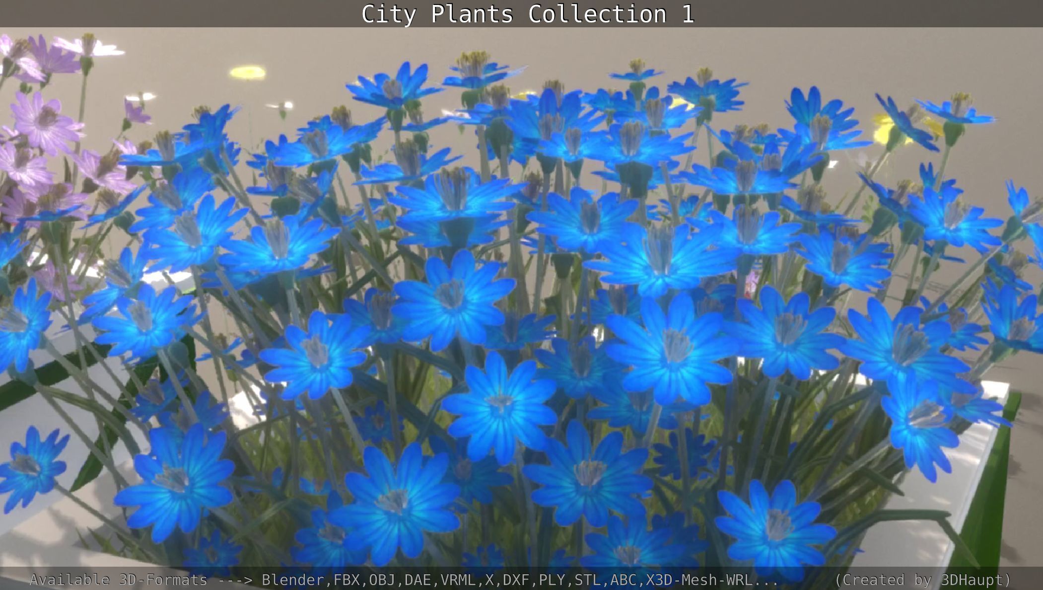 City Plants Collection 1 _81