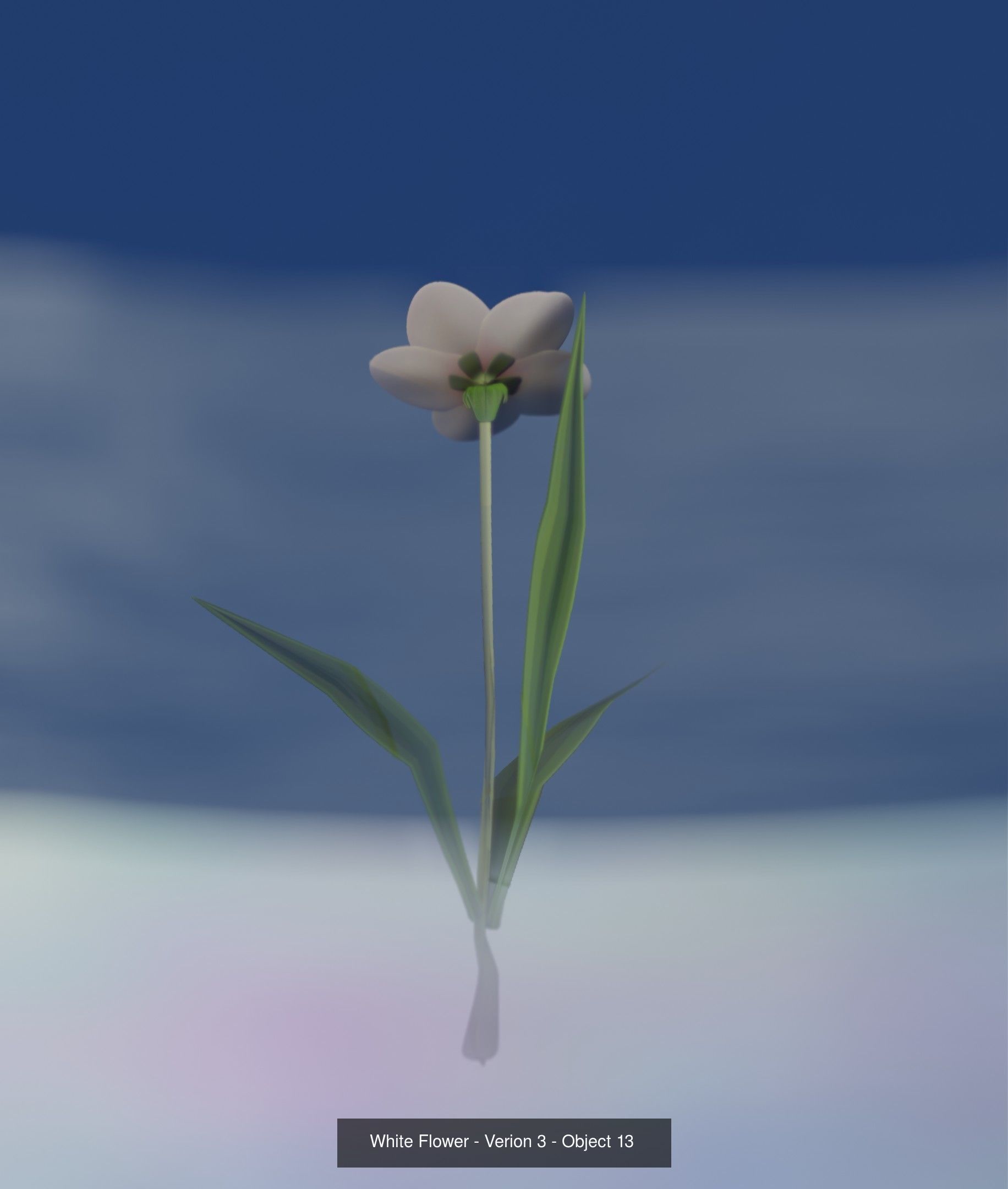 City Plants Collection 1 _22