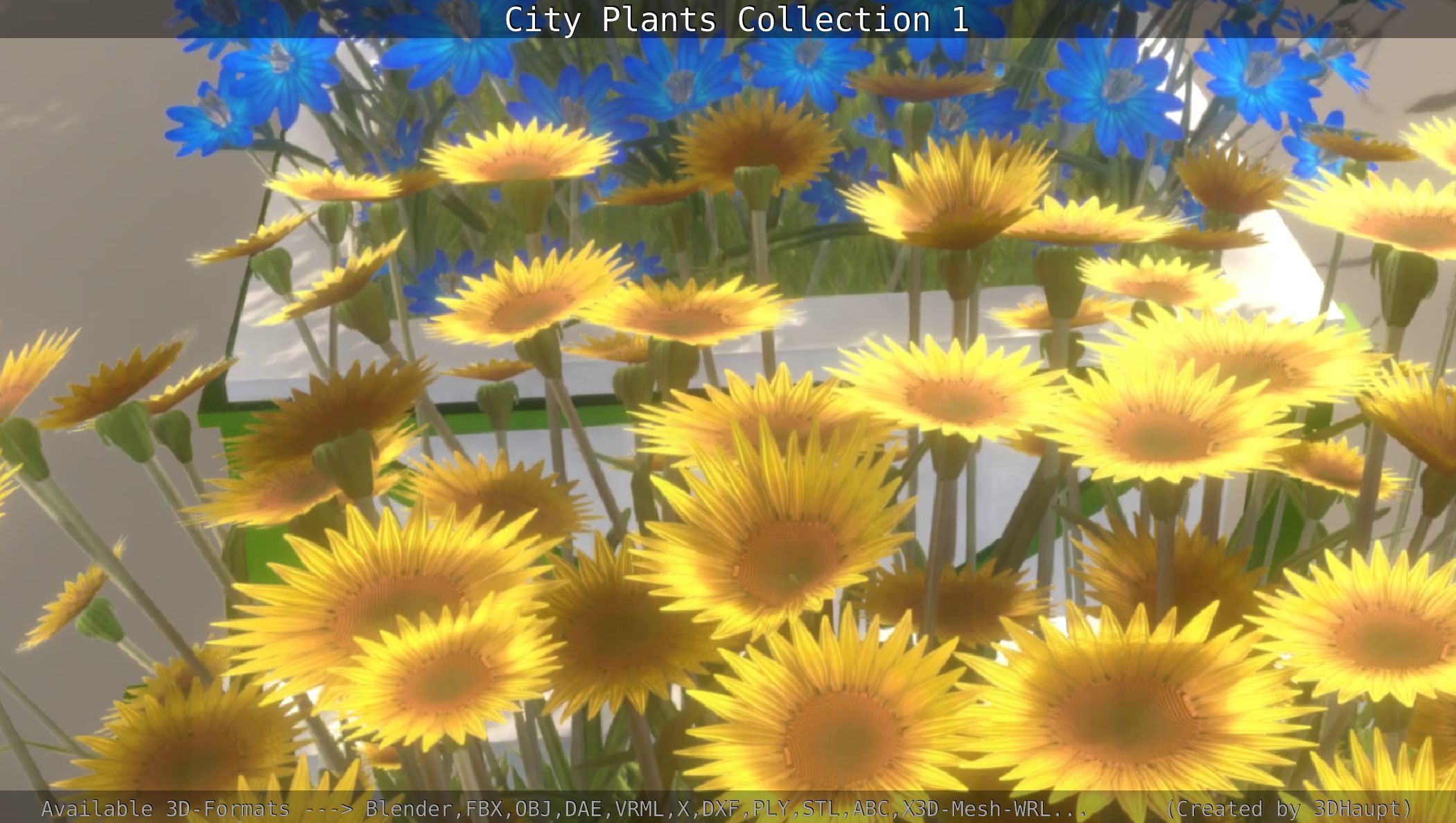 City Plants Collection 1 _75