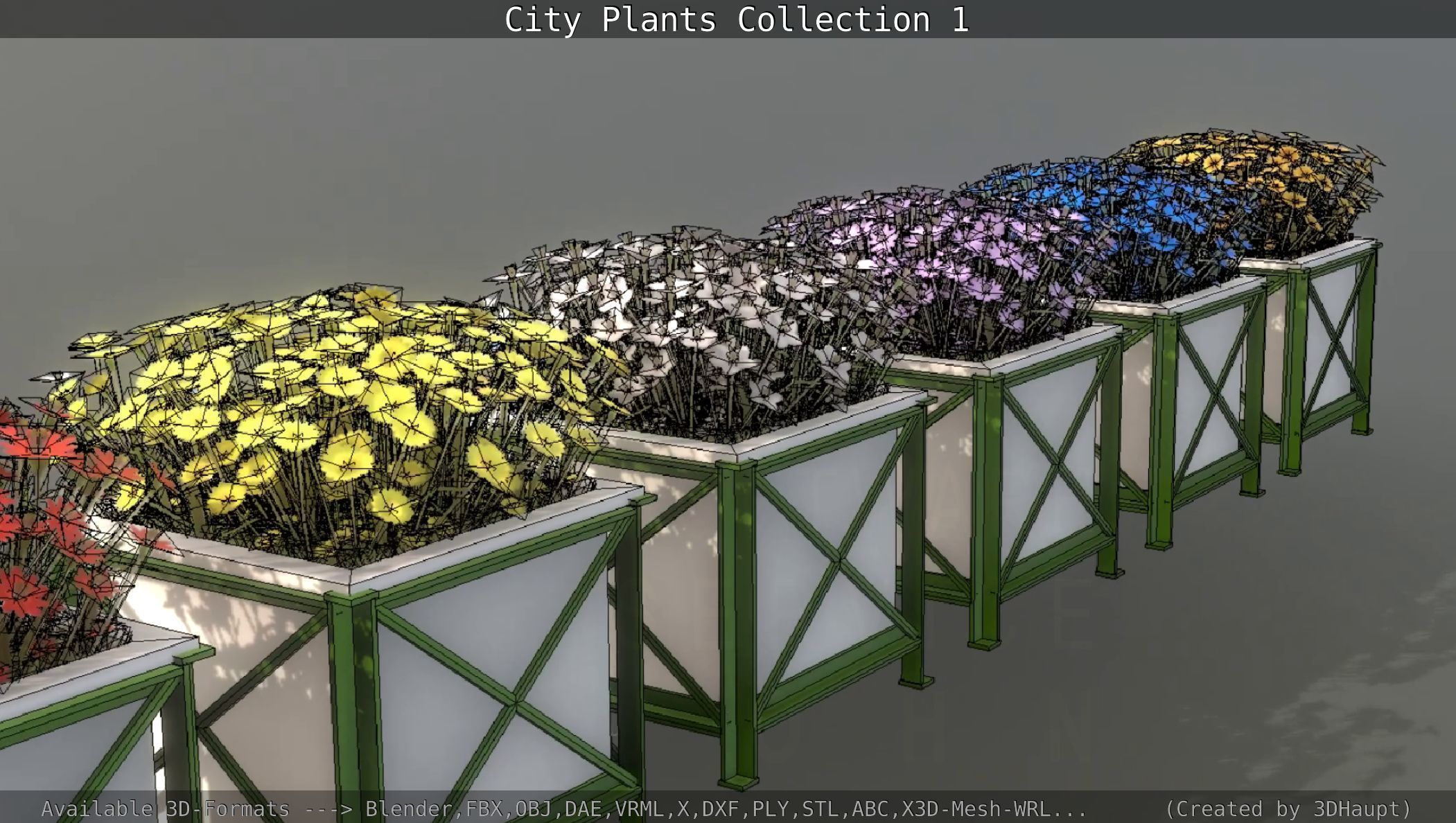 City Plants Collection 1 _56