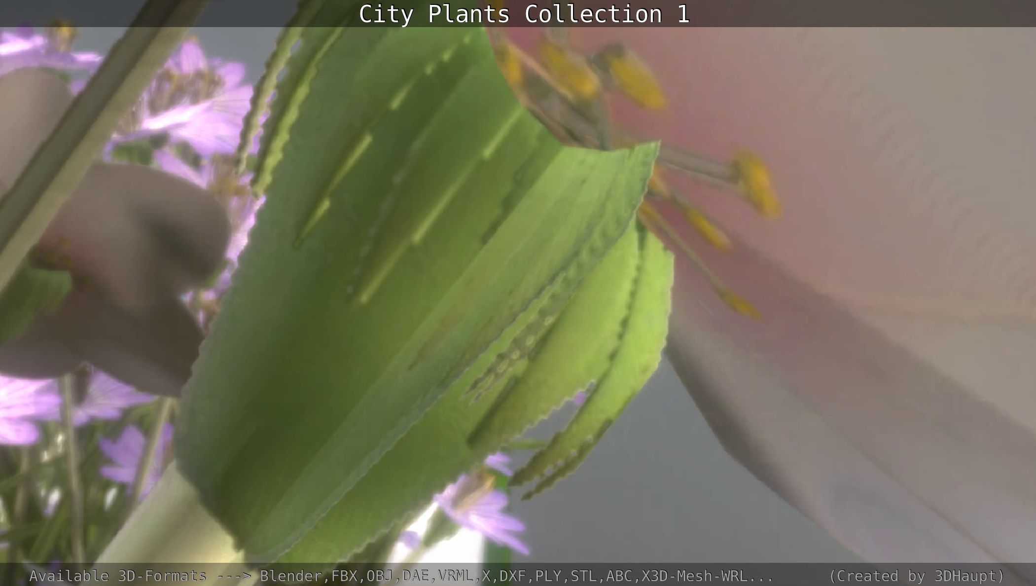 City Plants Collection 1 _109