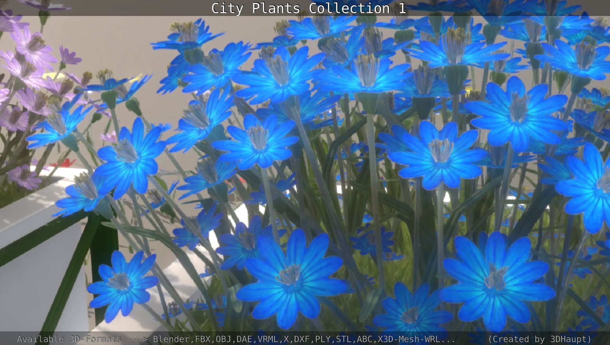 City Plants Collection 1 _80