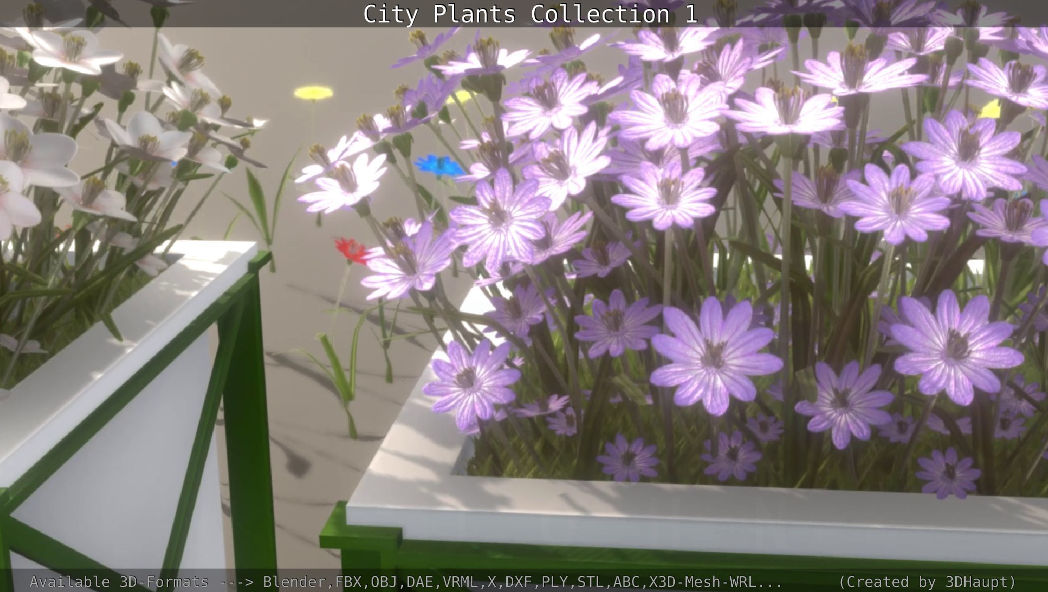 City Plants Collection 1 _72