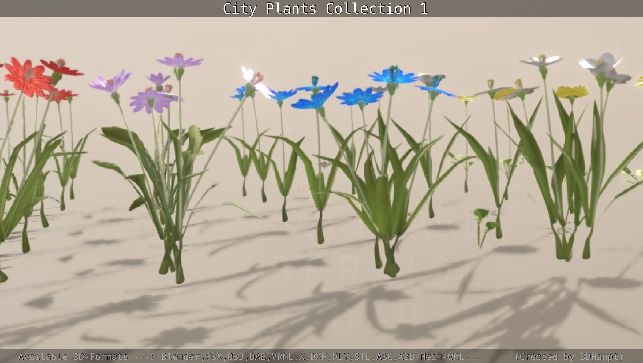 City Plants Collection 1 _90