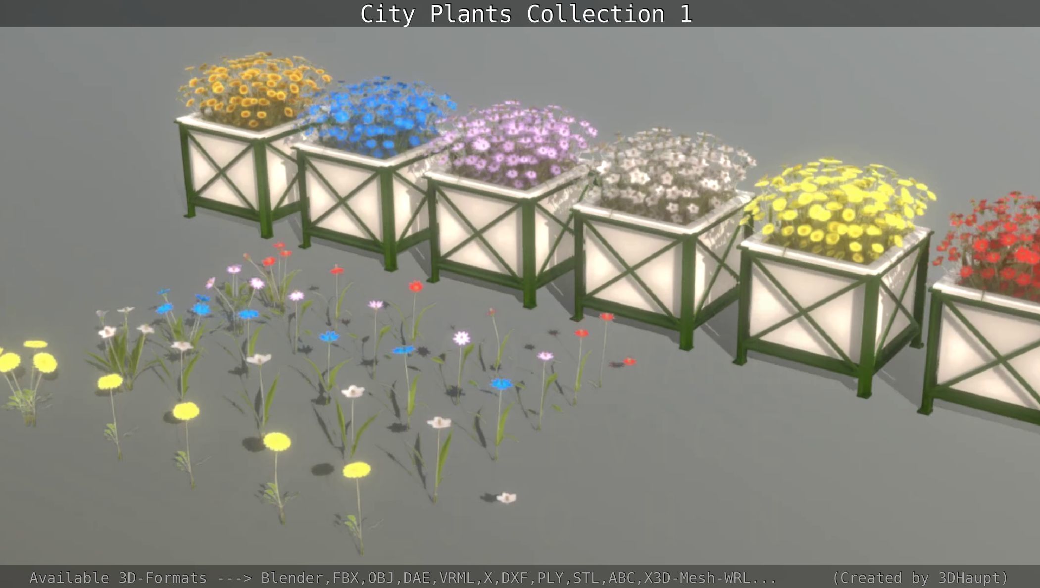 City Plants Collection 1 _77