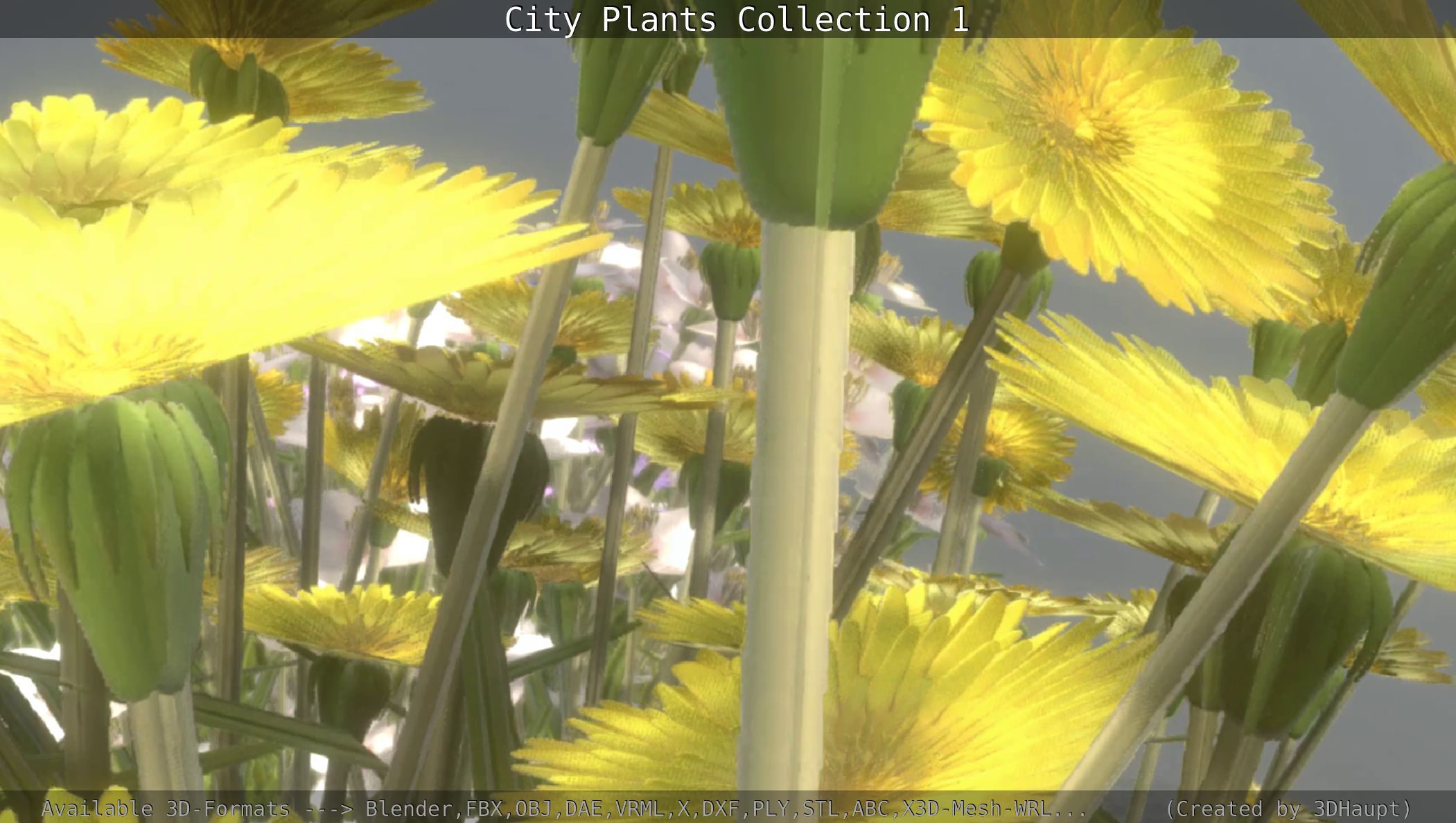 City Plants Collection 1 _107