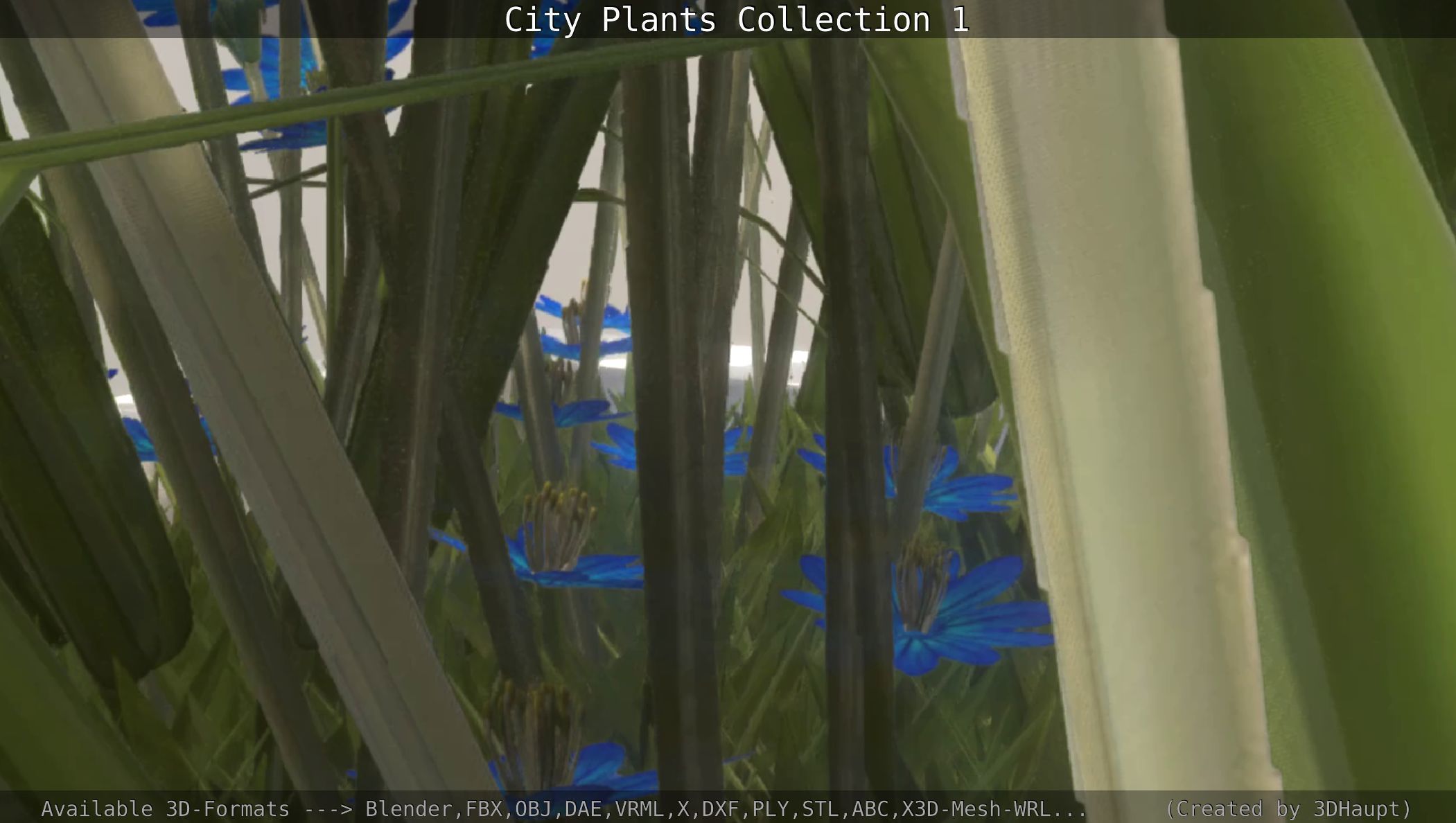 City Plants Collection 1 _118