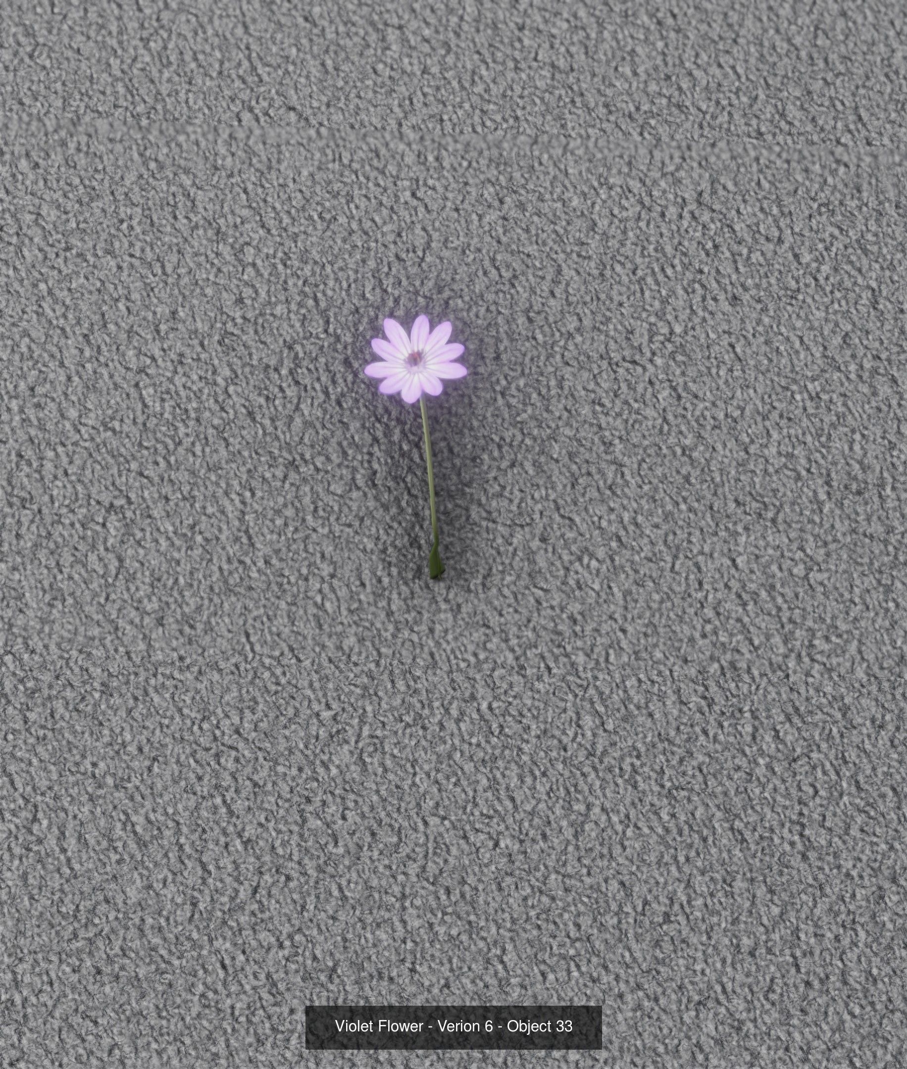 City Plants Collection 1 _42