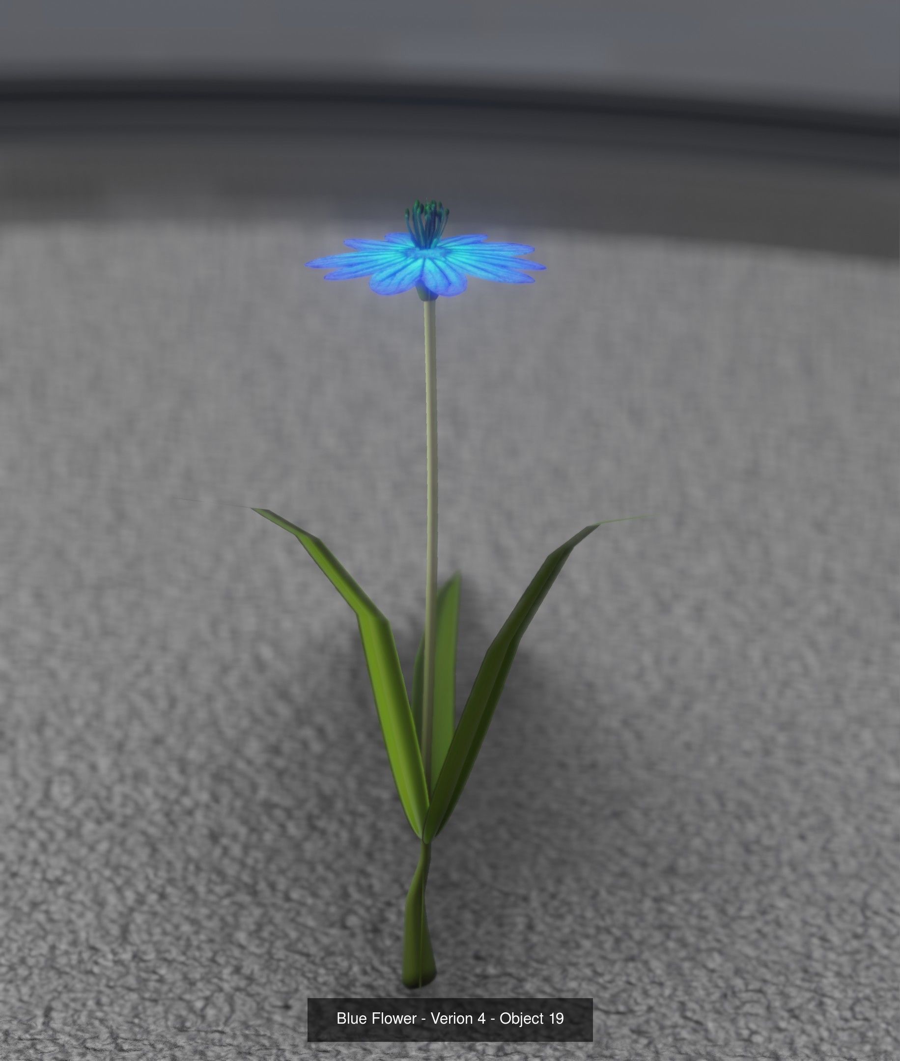 City Plants Collection 1 _28