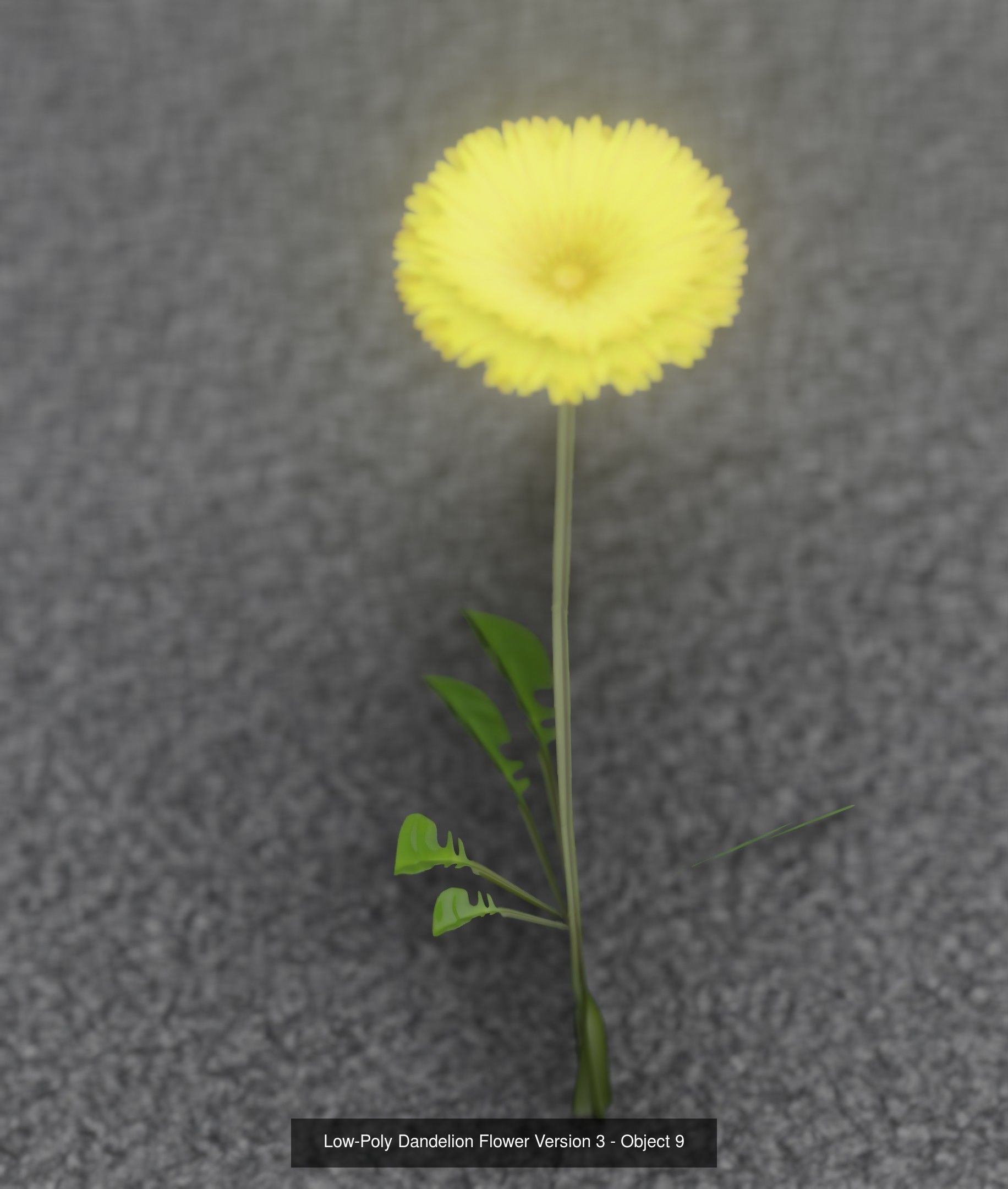 City Plants Collection 1 _17