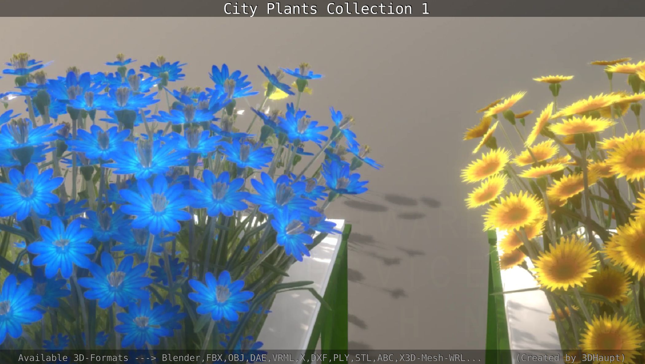 City Plants Collection 1 _111