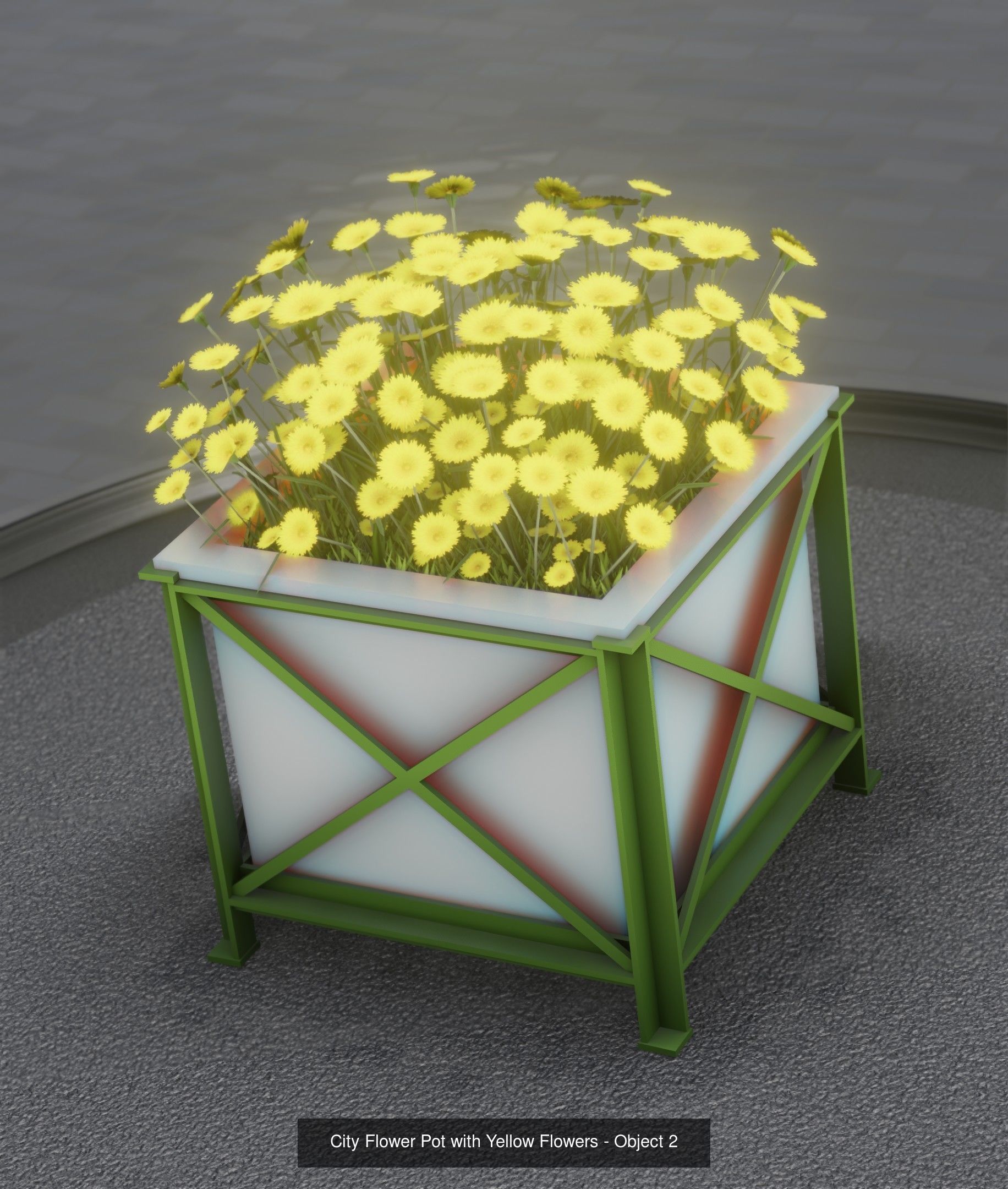 City Plants Collection 1 _10