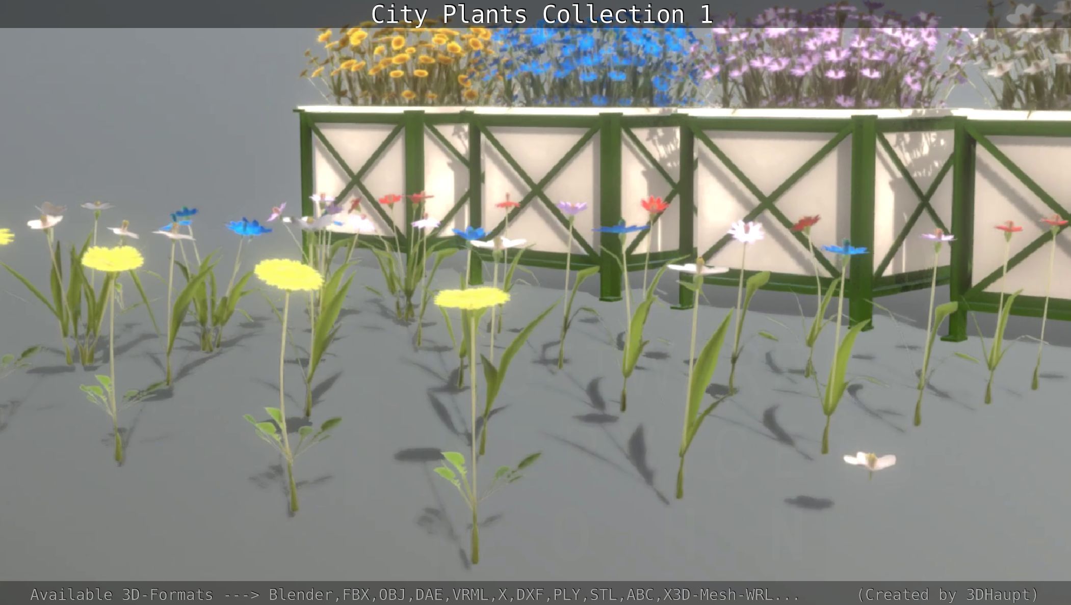 City Plants Collection 1 _84