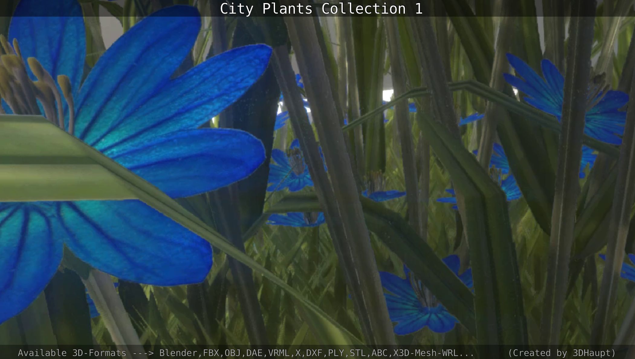 City Plants Collection 1 _117