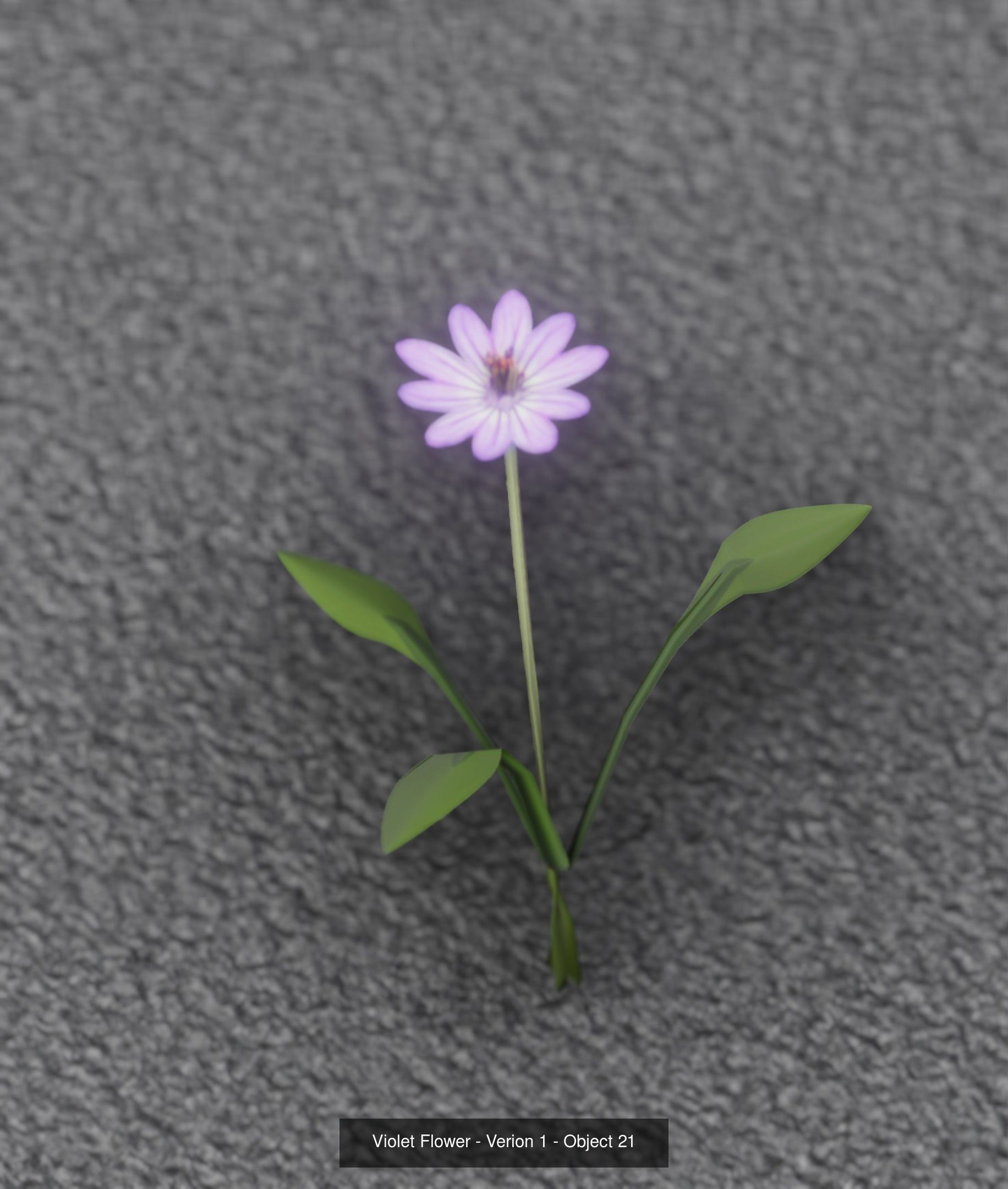 City Plants Collection 1 _30