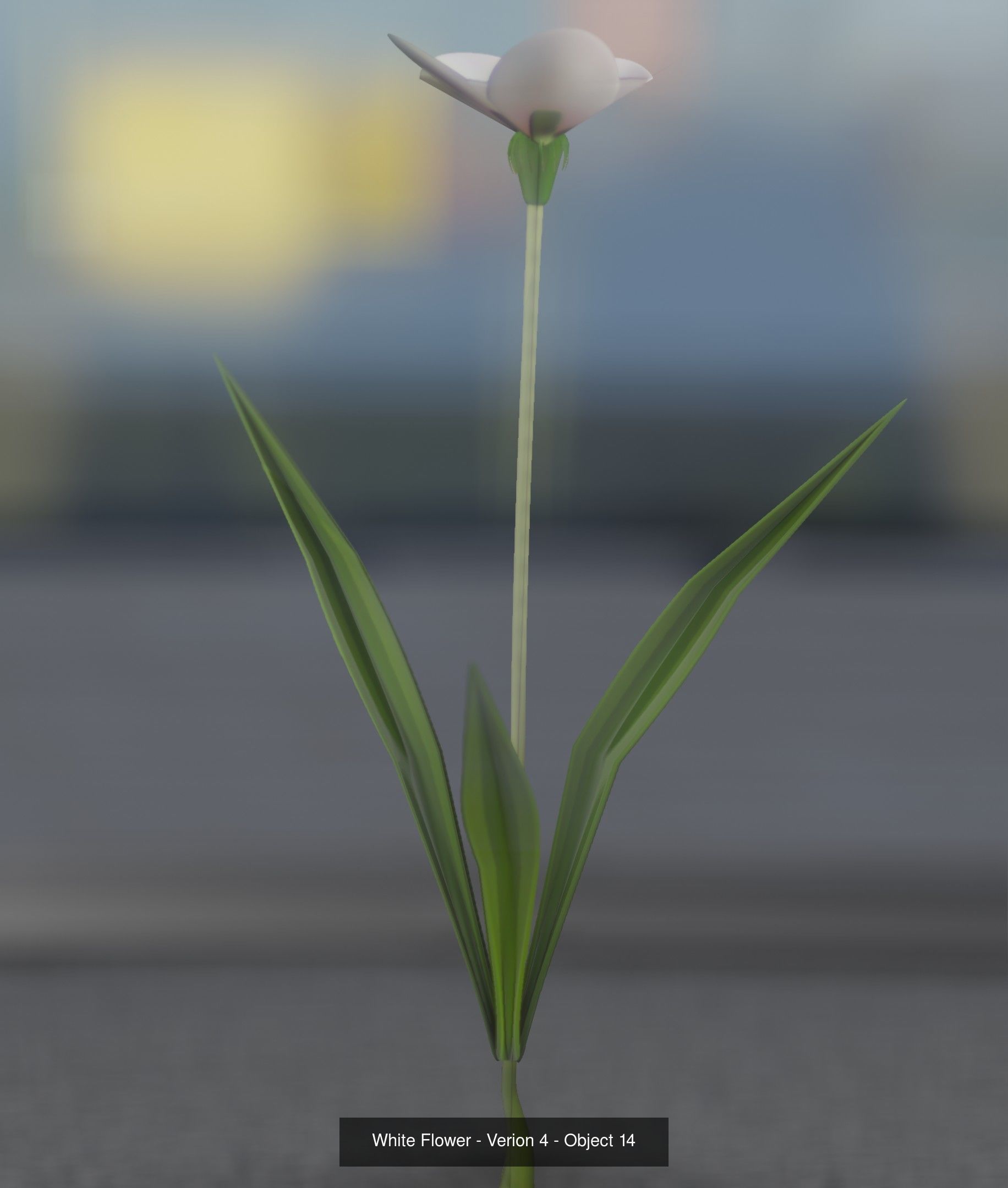 City Plants Collection 1 _23