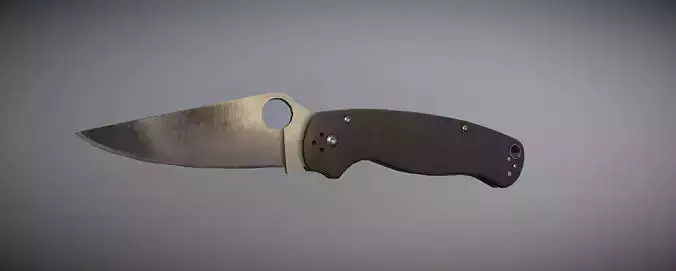 Folding Knife
