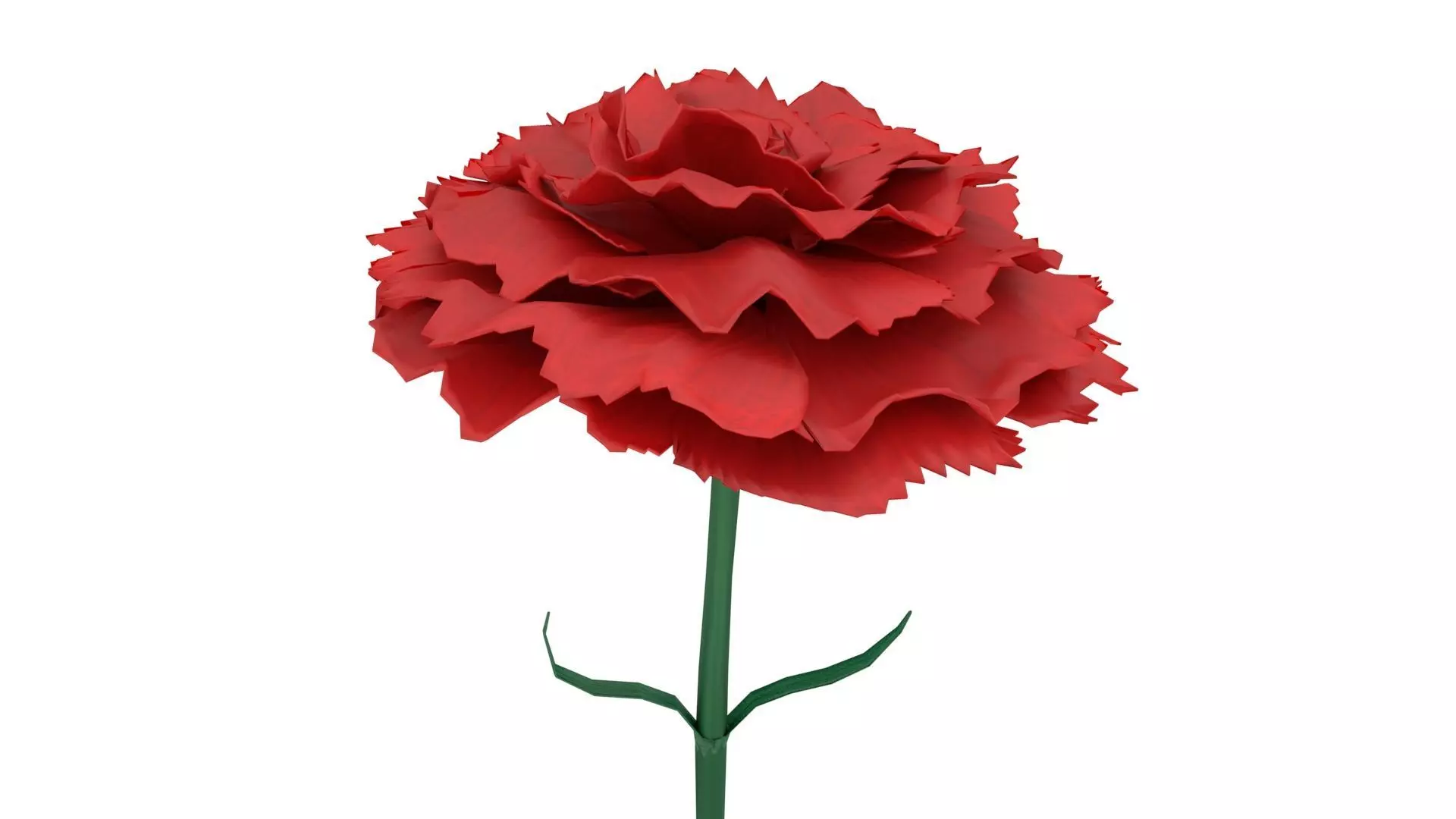 Carnation flower 3D model_0
