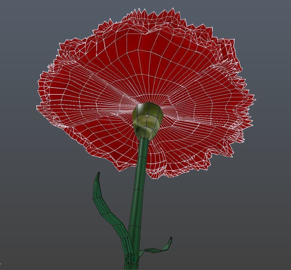 Carnation flower 3D model_3