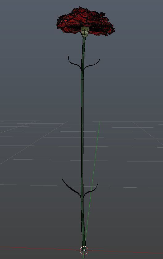 Carnation flower 3D model_2