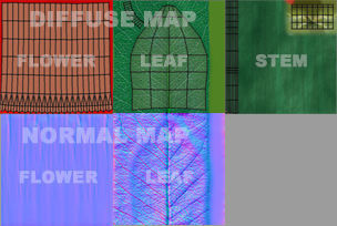 Carnation flower 3D model_4