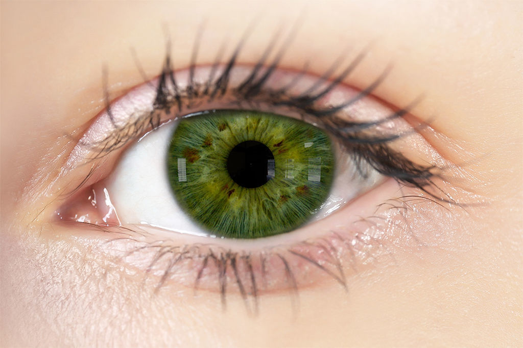 Iris Vol 01 Texture Maps Texture_9