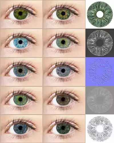 Iris Vol 01 Texture Maps