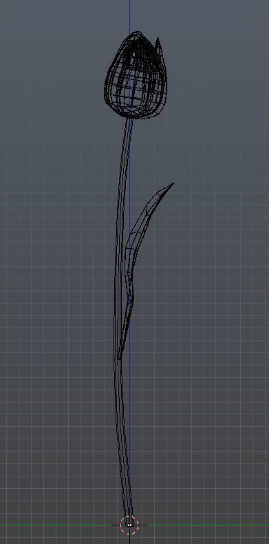 Tulip 3D model_7