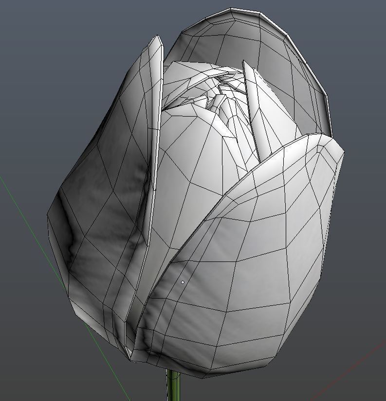 Tulip 3D model_2