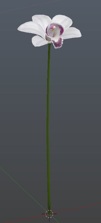 Orchid flower on stem Low-poly 3D model_3