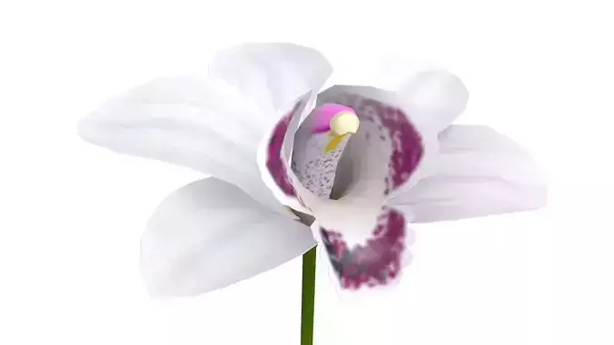 Orchid flower on stem Low-poly 3D model