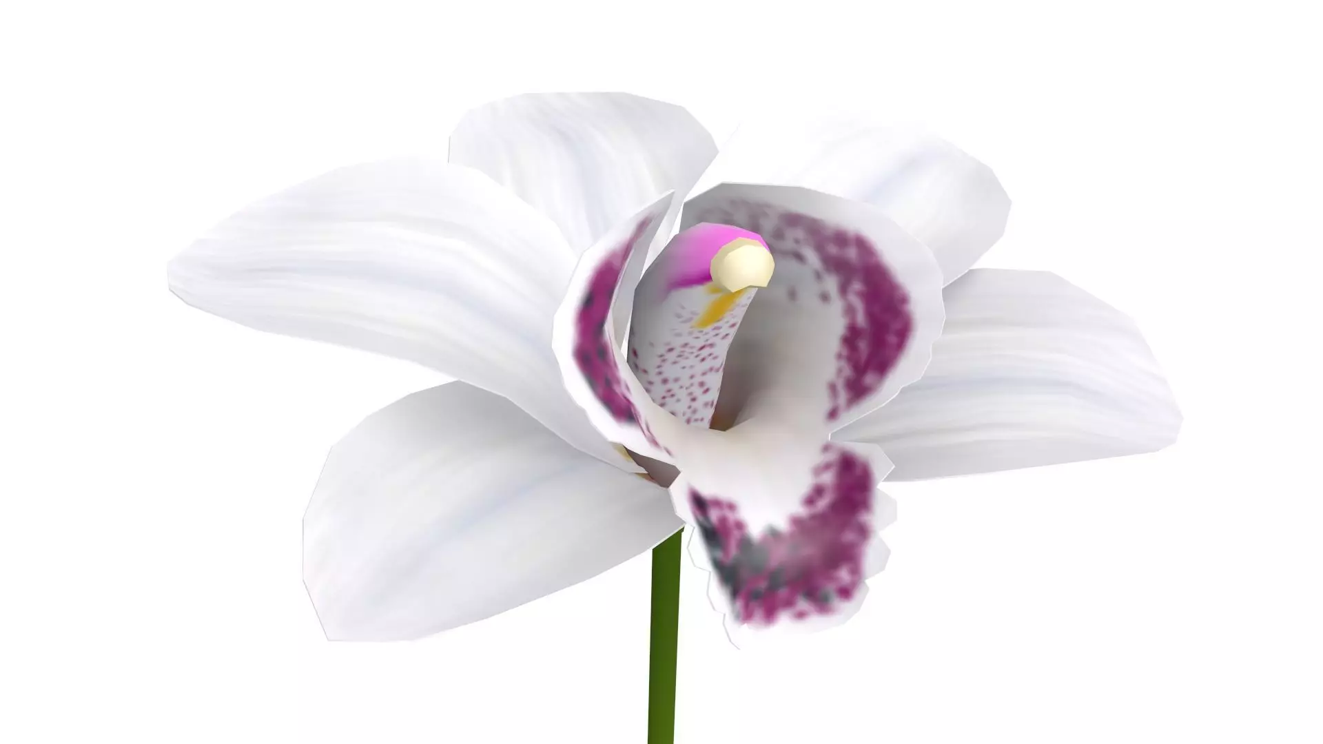 Orchid flower on stem Low-poly 3D model_0