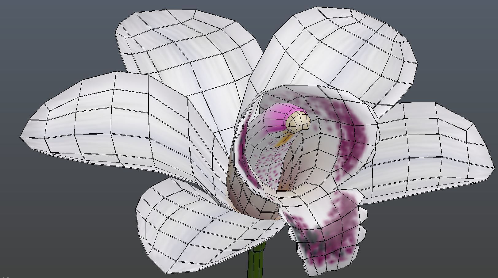 Orchid flower on stem Low-poly 3D model_2