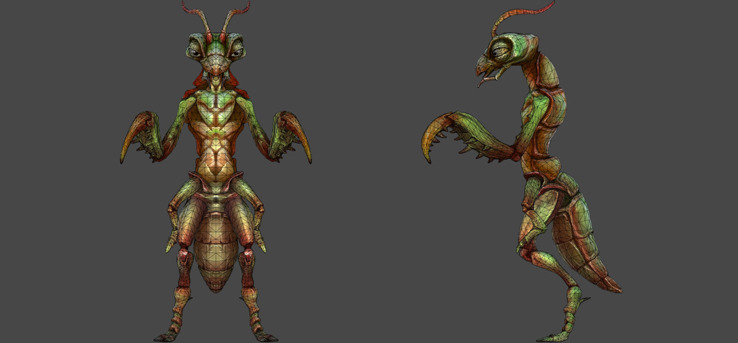 Insect Characters Low-poly 3D model_8
