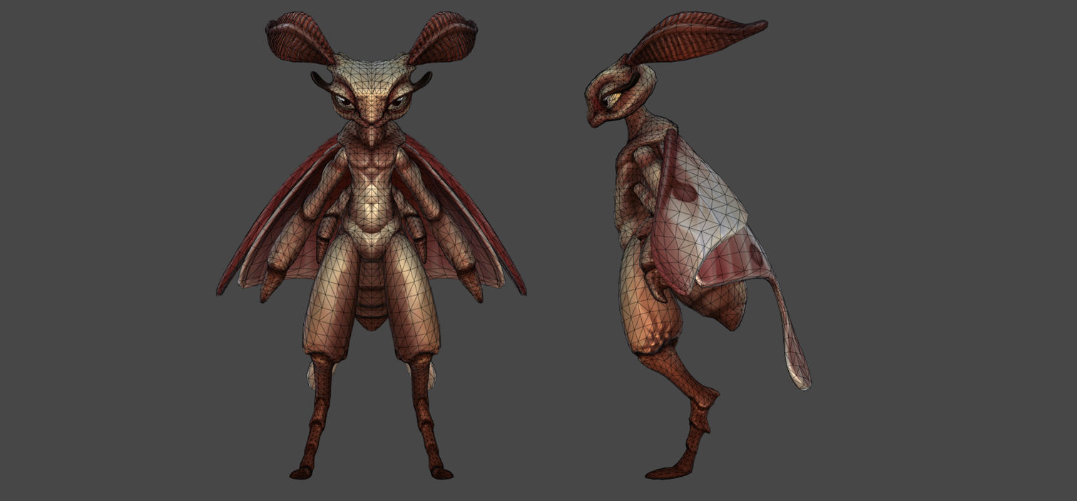 Insect Characters Low-poly 3D model_11