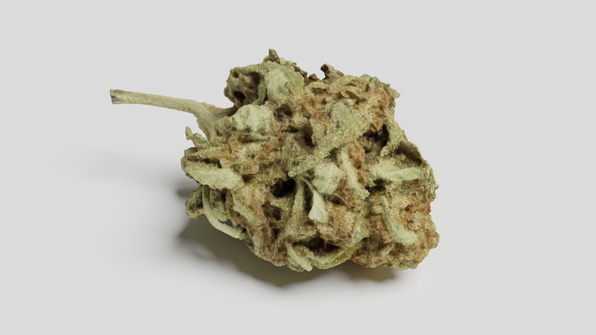 Cannabis Bud 06 3D model_1